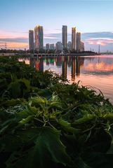 夜之城-锦州小凌河