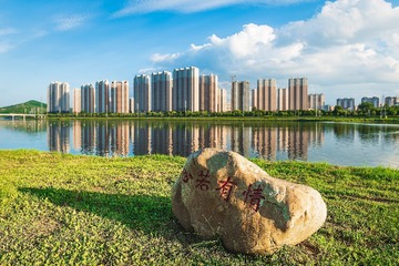 心若有情