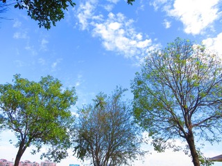 201913