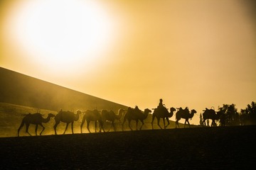 DSC_9421-1