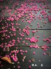 IMG_20160808_113255