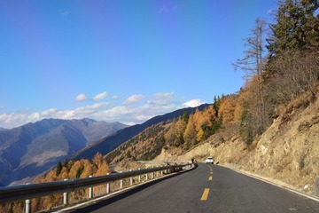 DSC_3204_00025
