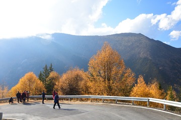 DSC_3205_00026