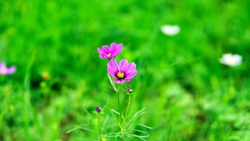 _DSC5307_22_16