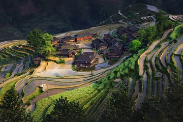 田园风光