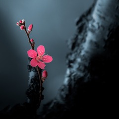 1302620
