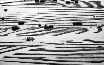 水墨七都2