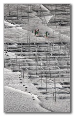 IMG_6355+