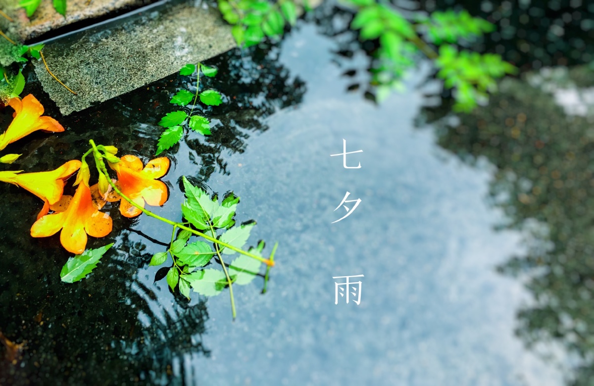 七夕的雨