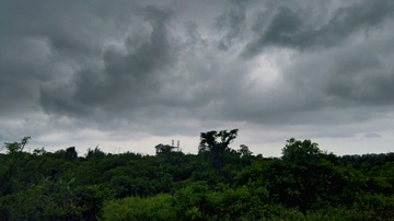 大雨将来