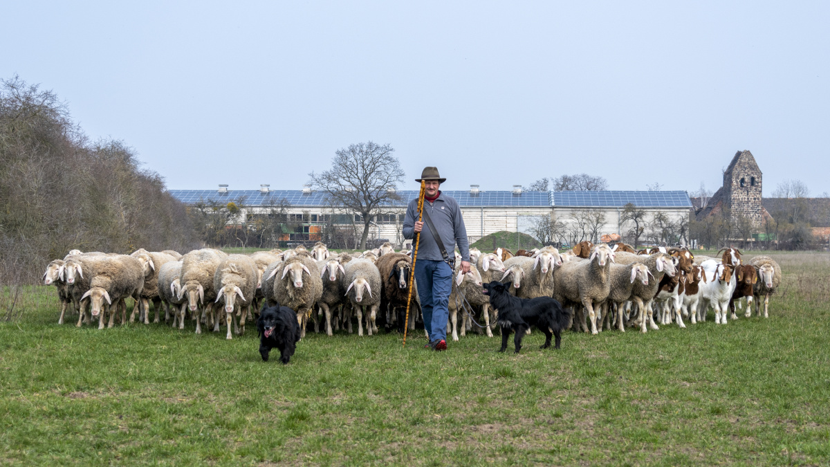 他多爱你几分,你多还他几分,找幸福的可能 - HN