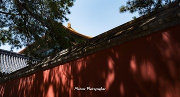 DSC_9590-1
