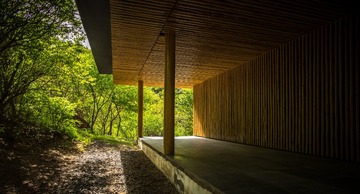 bamboo room 03