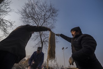 漏粉条201935133