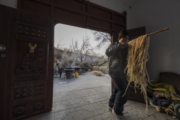 漏粉条201934944