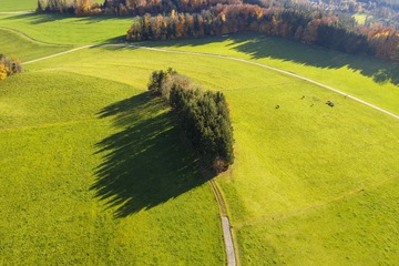 DSC_4102-3