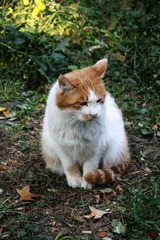 IMG_0902