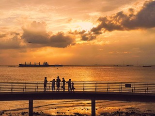 20119