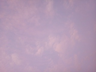 1304045