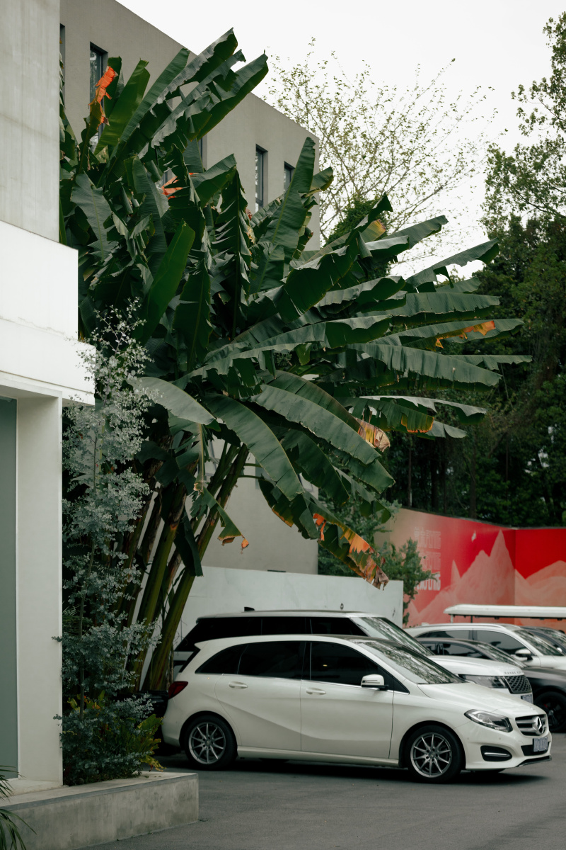 梵木- 摄影师_奈落 - 图虫