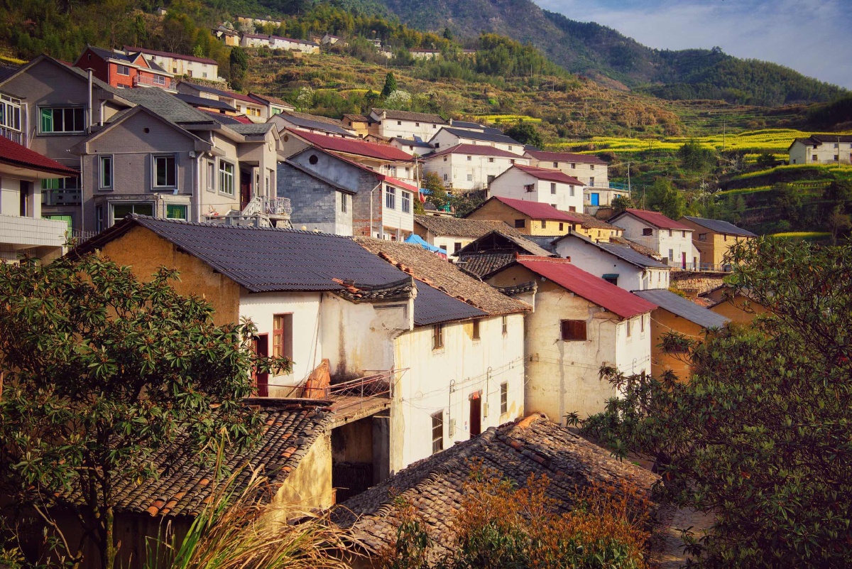 杭州建德乾潭镇胥岭村油菜花梯田676767