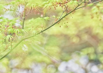 8E3A93B1-C654-4729-986F-CFE2F5065644/L0/001