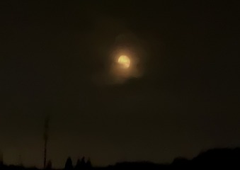 B33F762D-6964-496C-A009-FA928E5D93DF/L0/001