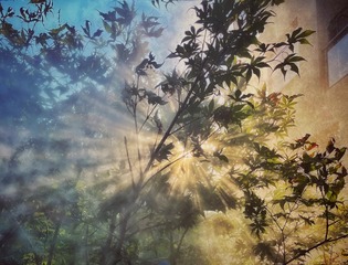 BA4C05F5-AB69-4A24-9E7F-3D00C66FC10F/L0/001