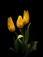 54A532ED-3754-47FB-A252-768237C23900/L0/001