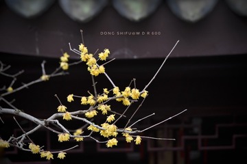 792F017E-645A-4B66-A295-24ECE5CC8A3A/L0/001