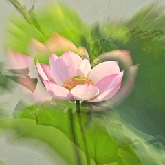 873024A7-AA2B-42BC-872D-06ECFA7D3B65/L0/001