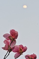 9C448602-5F13-4EB3-8653-55209FF5F642/L0/001