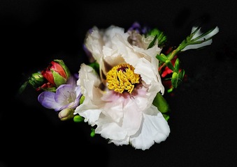 5C80D769-0DC8-4AAF-881F-BAFDD122F6FA/L0/001
