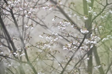 1878BD97-CEC3-4D16-B52C-0C488E54CF09/L0/001