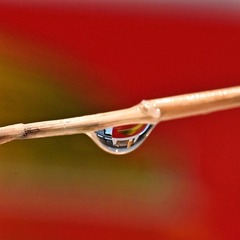 83FC9EAD-0F71-4006-AB80-82349A481E1F/L0/001