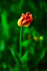 001
