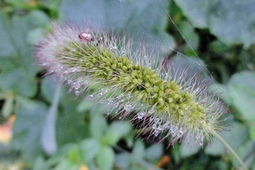 DSC00620-01