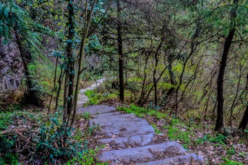 DSC_2325-1