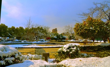DSC_0001－２