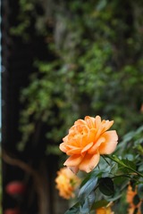 1201374