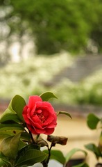1200532