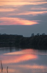 336591