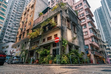 杂草屋
