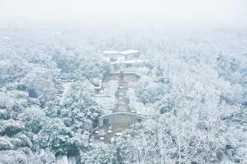 DJI_0137