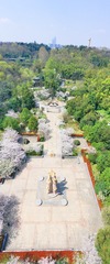 DJI_0602