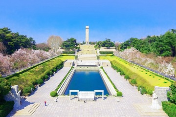 DJI_0949