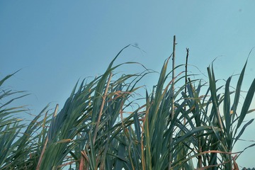 92009A51-5077-4D69-957F-68EBB65CAA47/L0/001