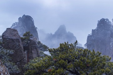黄山冬雾