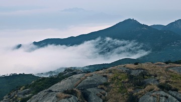 CF00594100979