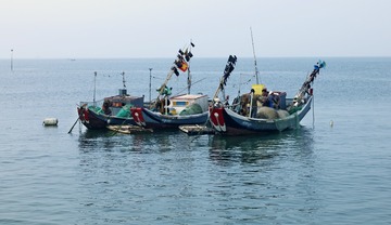 CF000851